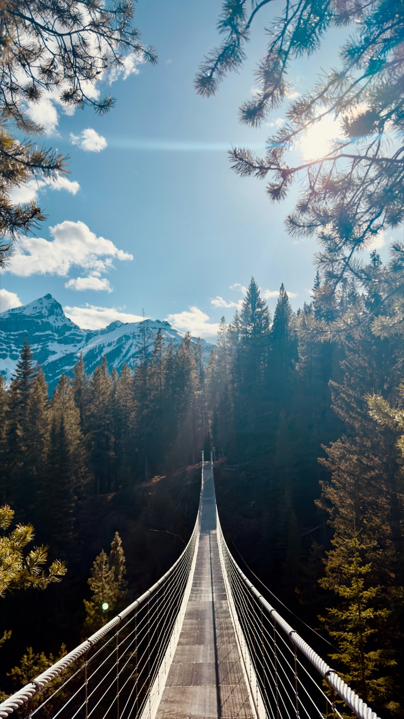 Hängebrücke über einem Bergwald